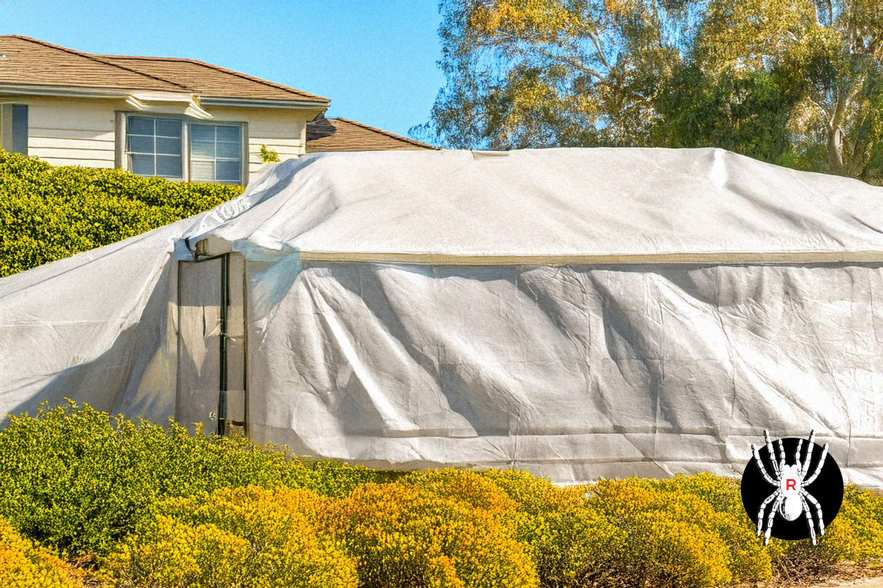 Fumigation by Reliant Pest Control