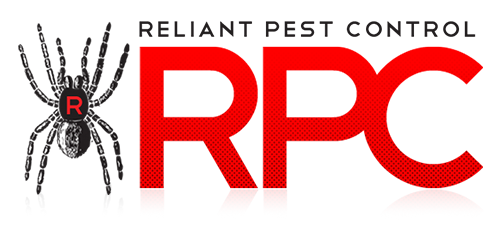 Los Angeles Pest Experts