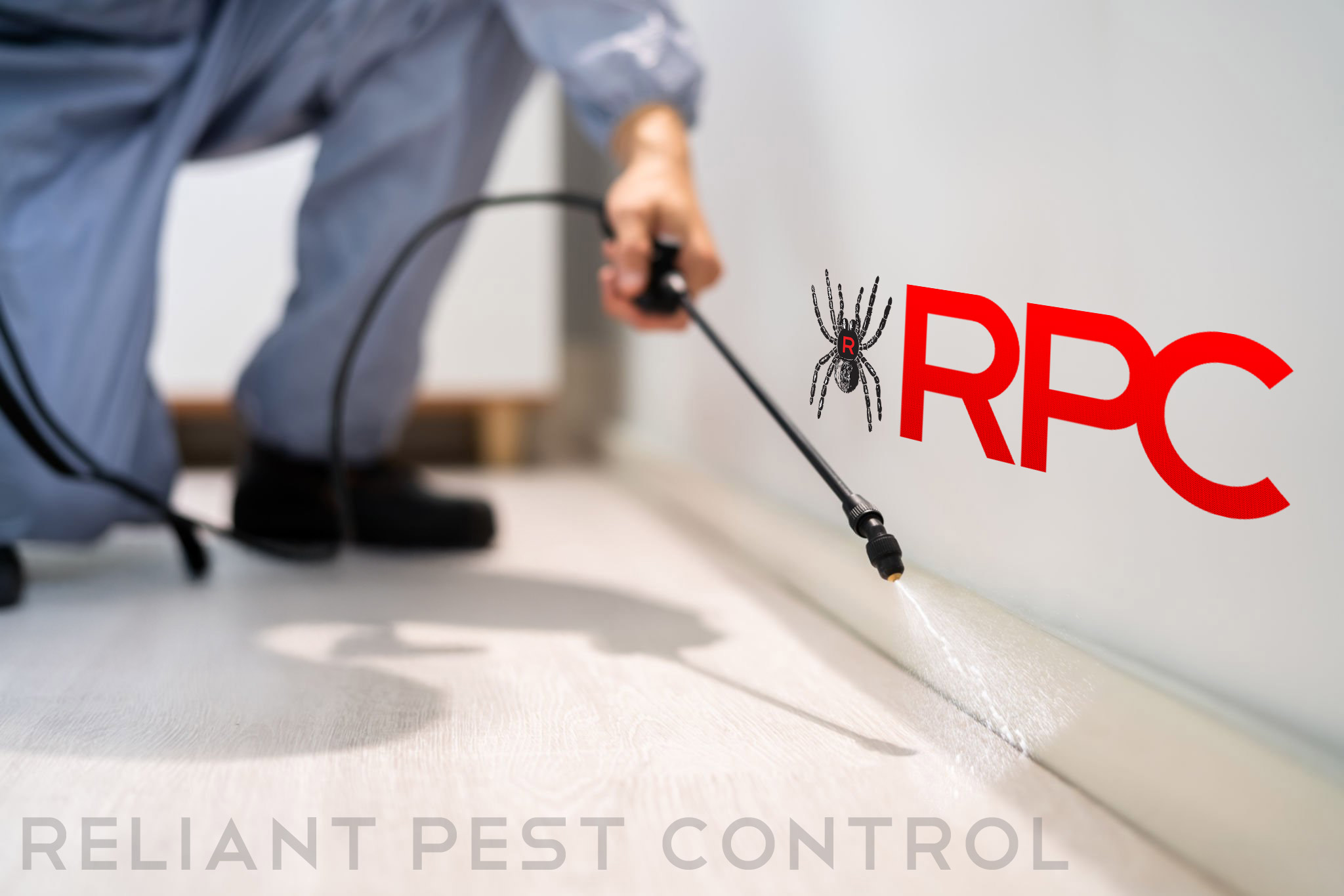 Pest Control in Los Angeles by Reliant Pest Control