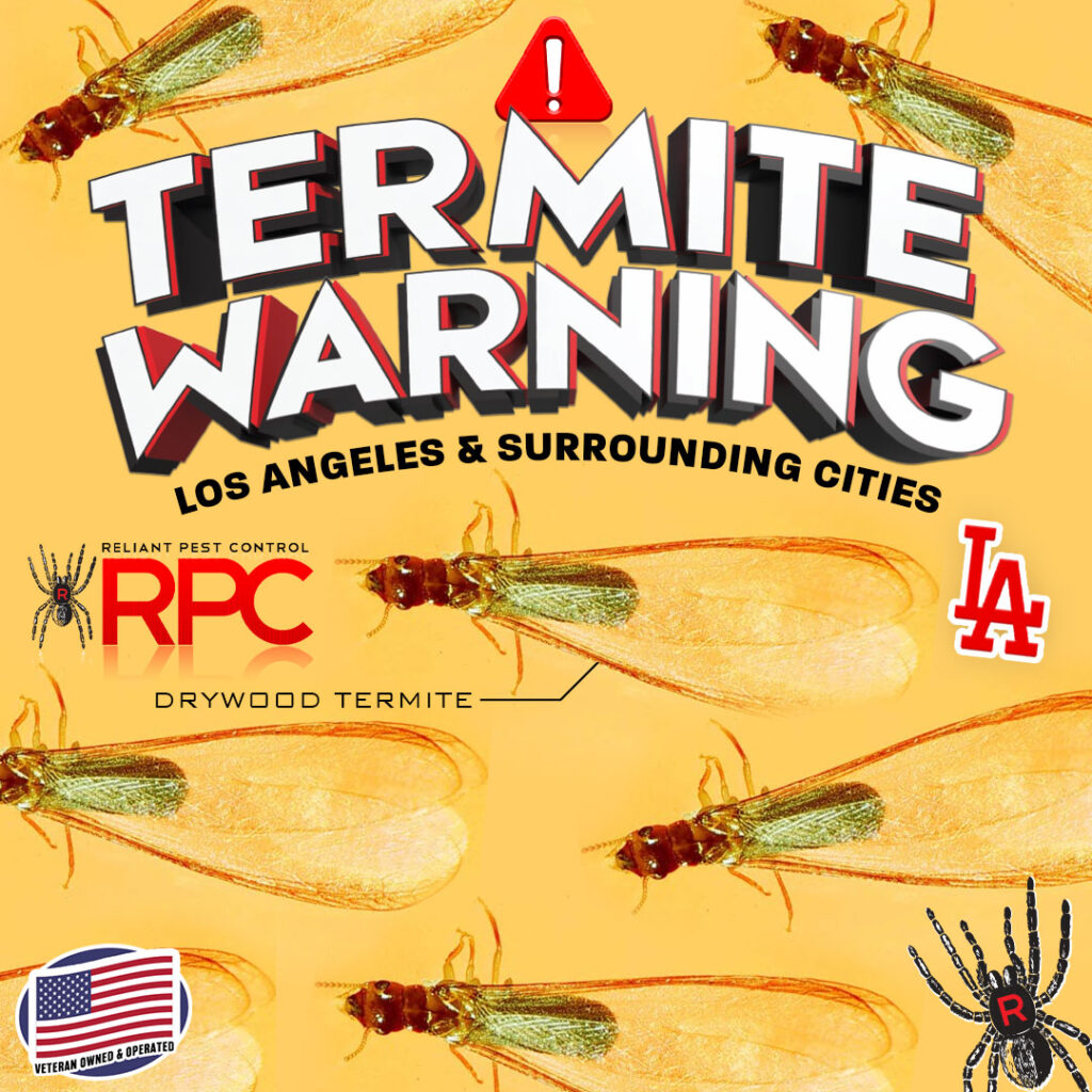 TERMITE WARNING for Los Angeles by Reliant Pest Control