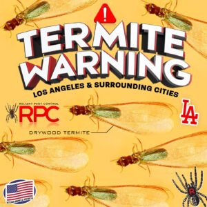 termite warning for Los Angeles by Reliant Pest Control